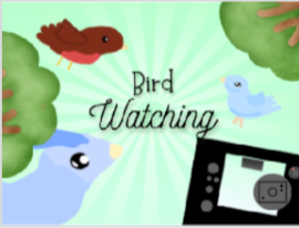 bird-watching