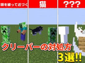 naokimann’s Scratch Game
